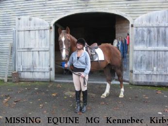 MISSING EQUINE MG Kennebec Kirby, Near Dummer, NH, 03588
